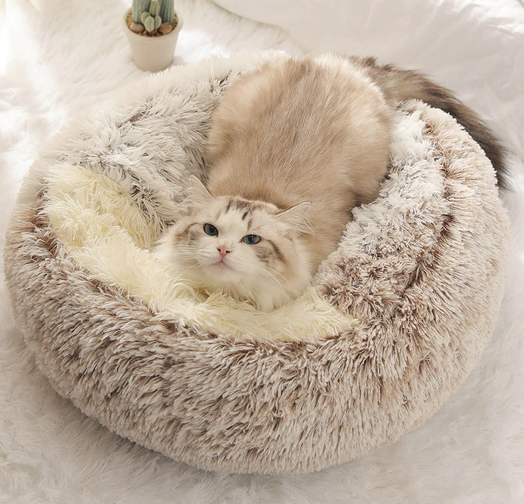 Maison Douce pour Chien et Chat