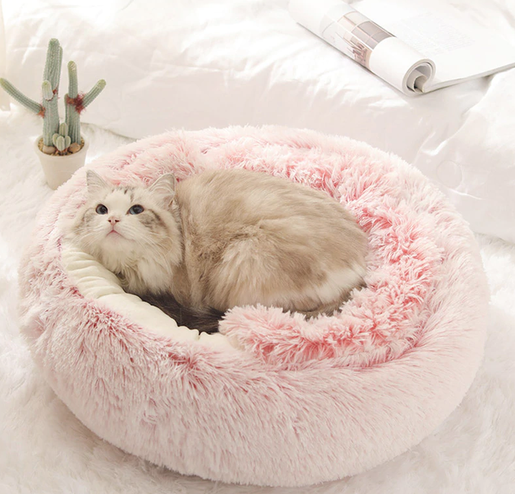 Maison Douce pour Chien et Chat