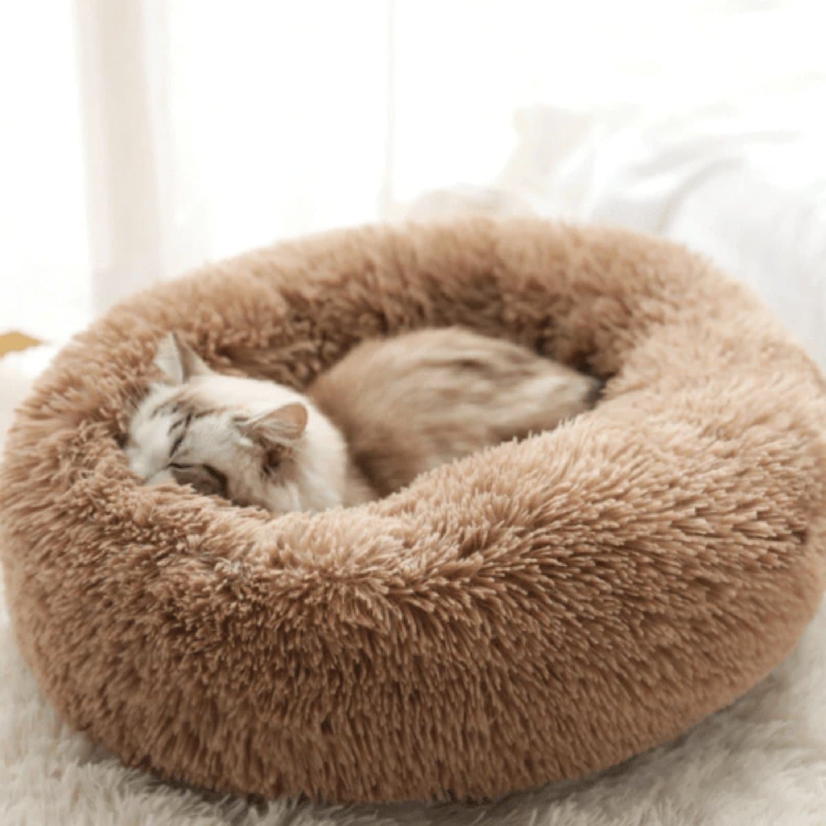 Apaisant Coussin ( Chien et Chat )