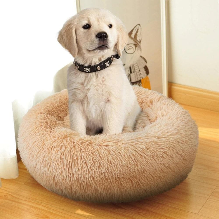 Apaisant Coussin ( Chien et Chat )
