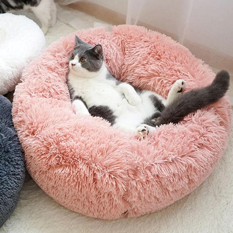 Apaisant Coussin ( Chien et Chat )