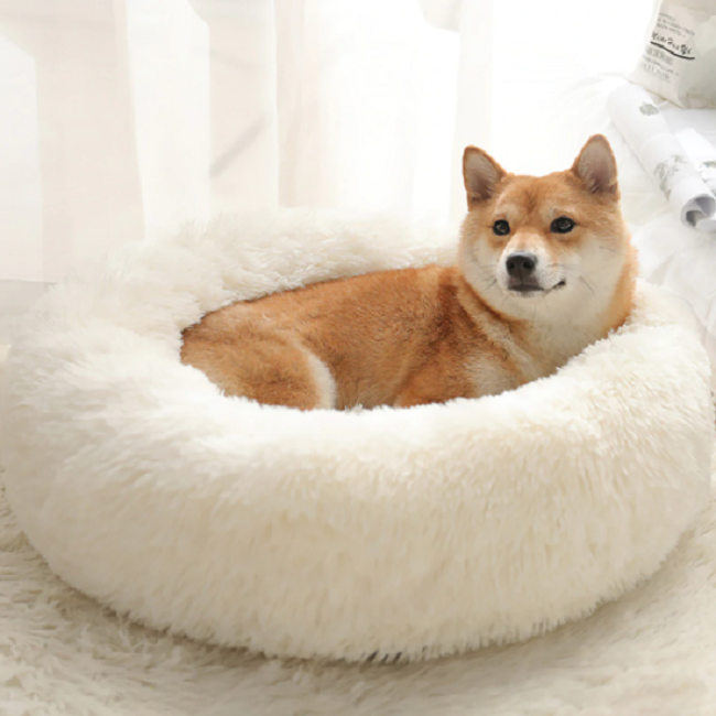 Apaisant Coussin ( Chien et Chat )
