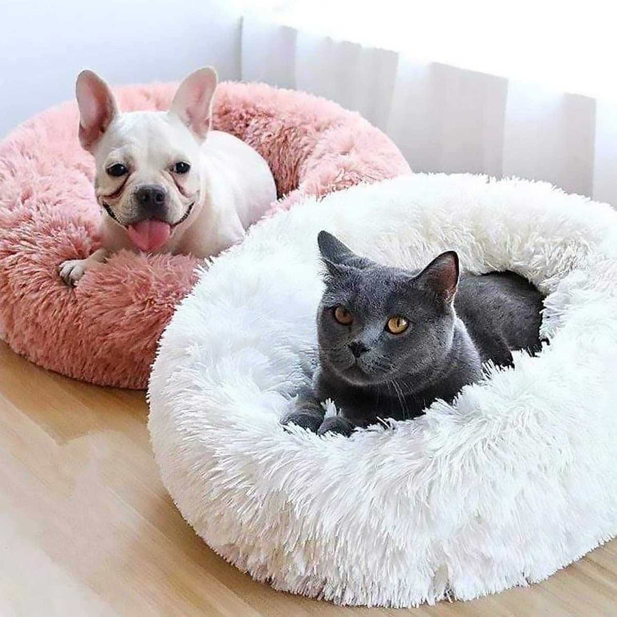Apaisant Coussin ( Chien et Chat )