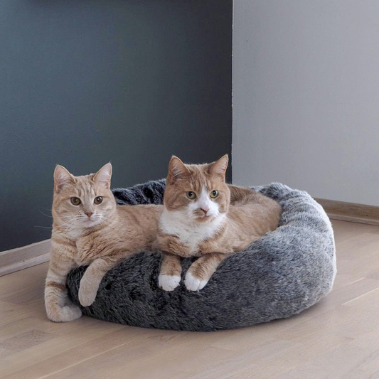 Apaisant Coussin ( Chien et Chat )