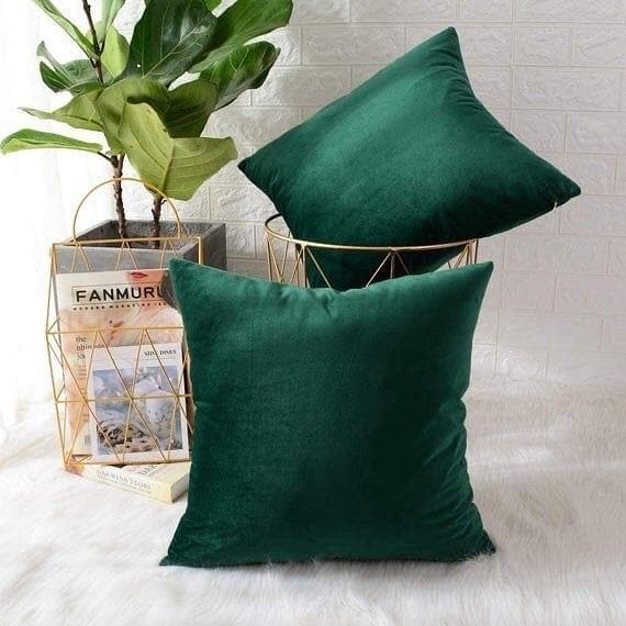 COUSSIN VELOUR